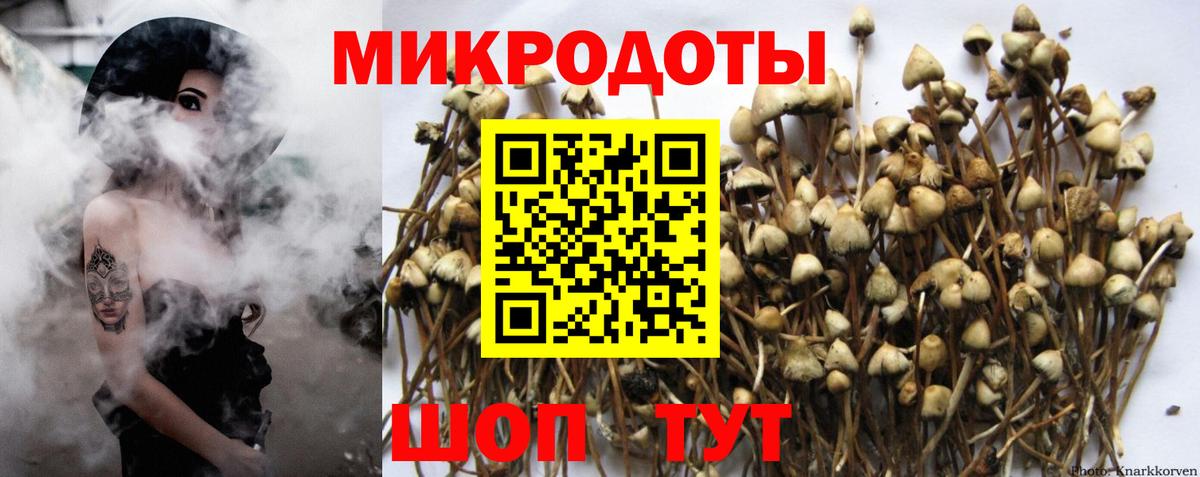 Аргун  Галлюциногенные грибы MAGIC MUSHROOMS  Вход с VPN 